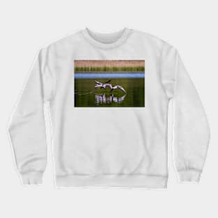 Greylag Geese in flight Crewneck Sweatshirt